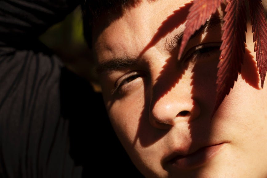 Hemp Strains with the Most CBG - Secret Nature