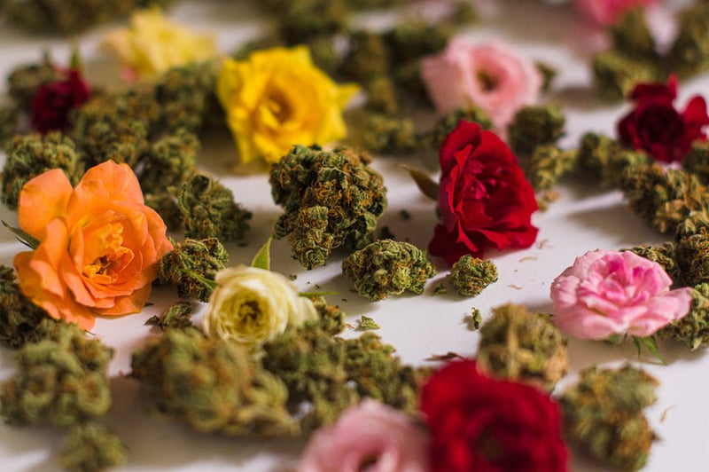 History of 420: Bob Marley, Numerology, & Honoring Weed - Secret Nature