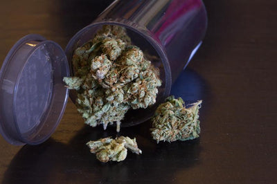 How Do You Store CBD Flower?