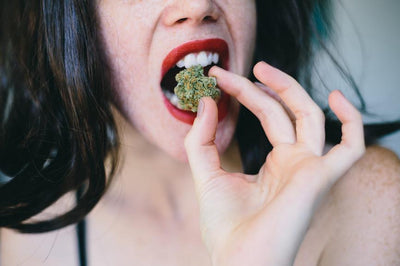 How Does a Standard Drug Test Work?