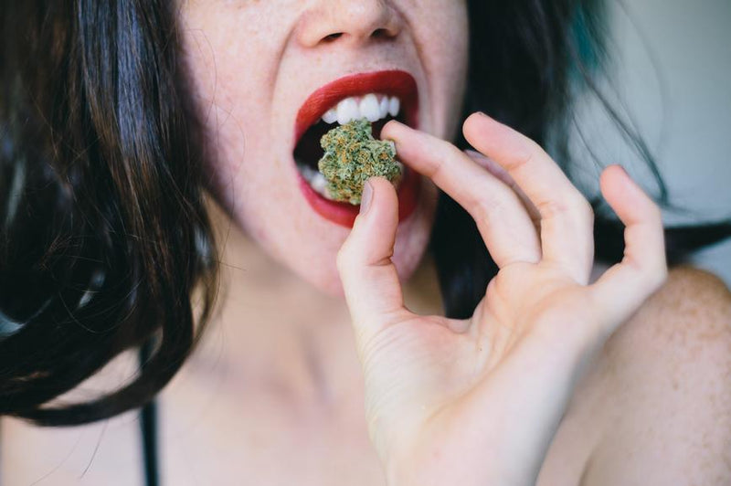 How Does a Standard Drug Test Work?
