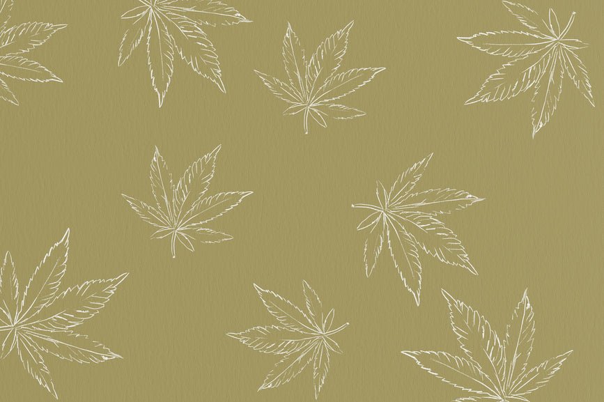 How Is Hemp Plastic Manufactured? - Secret Nature