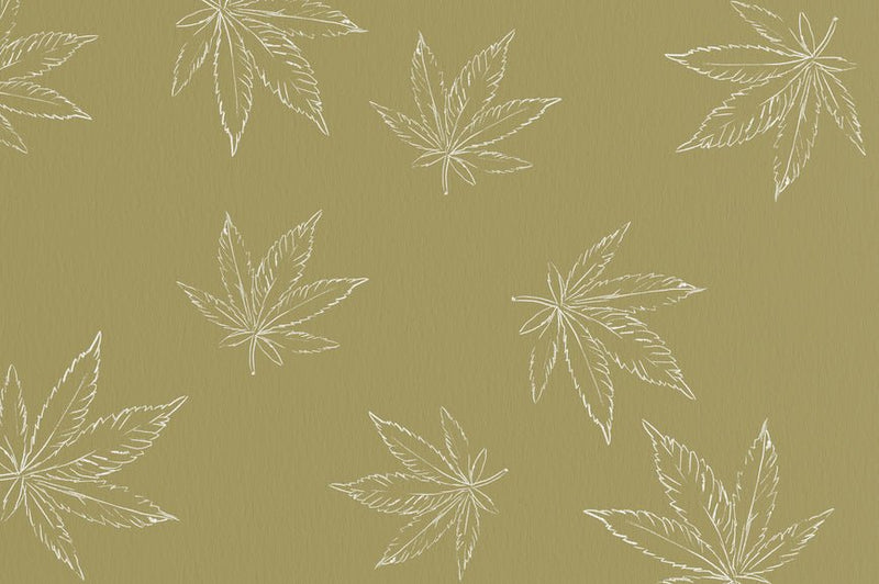 How Is Hemp Plastic Manufactured? - Secret Nature