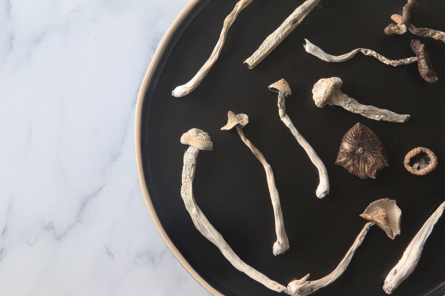 How Long Do Shrooms Last? - Secret Nature