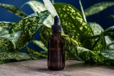 How to Make CBD Oil from Flower: DIY & Pro