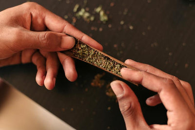 How to Roll a 2-Gram CBD Blunt