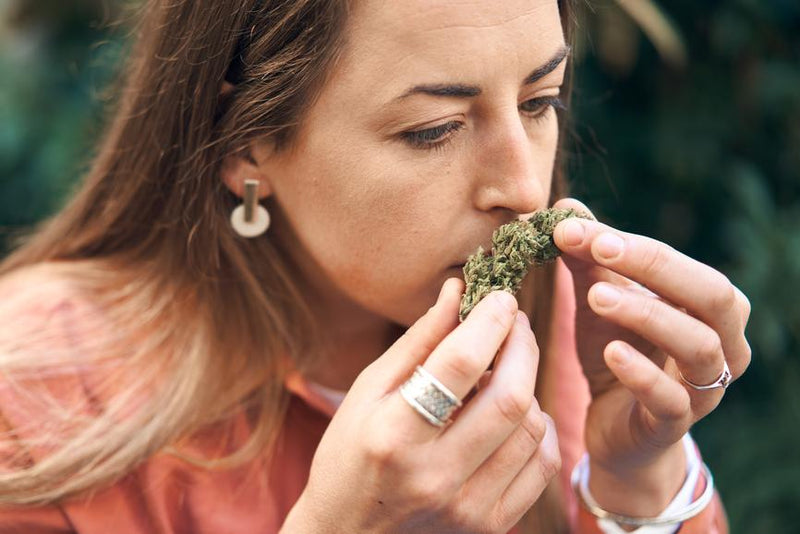 Indica Vape vs. Sativa Vape vs. Hybrid Vape
