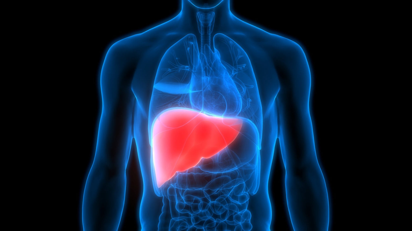 Is CBD Bad for Your Liver? - Secret Nature
