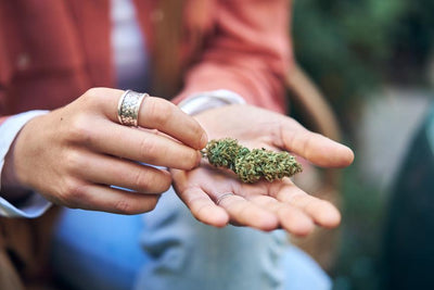 Is Delta 8 Flower Legal? — Latest Updates