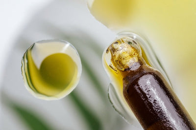 Is Hemp Seed Oil the Same as Cannabis Extract?