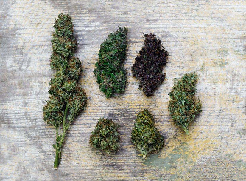 Is THCA the Same Thing as THC? - Secret Nature