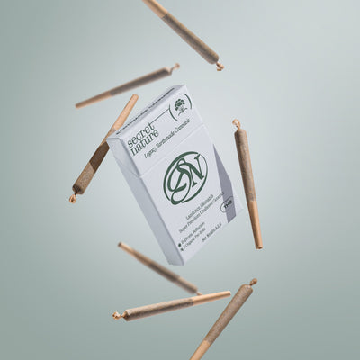 Pennsylvania Hemp Flower