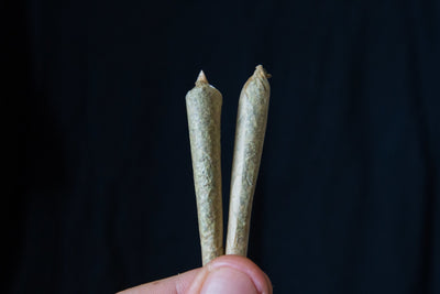 Review of CBG Pre-Rolls 7-Pack