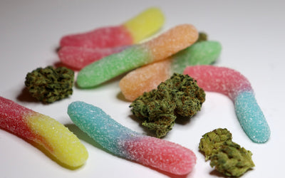 Review of Sour Gummi Pre-Rolls 2-Pack
