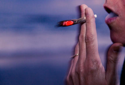 Secret Nature Delta 8 Pre Roll 7-Pack — 7 Things to Love