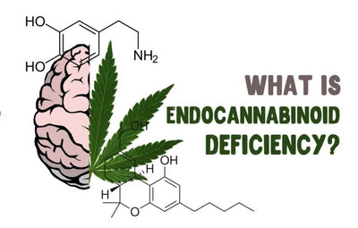 Secret Nature Explains CBD’s Impact On Endocannabinoid Deficiency