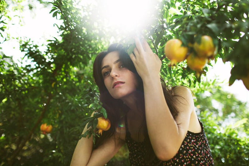 Secret Nature Forbidden Fruit THCA Disposable Vape Review - Secret Nature