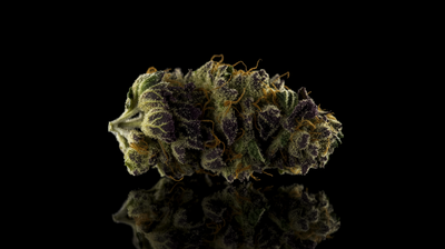 MAC Strain: Miracle Alien Cookies Lives Up to the Hype