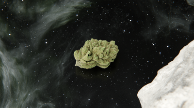 Skywalker OG Strain: The Force of Relaxation