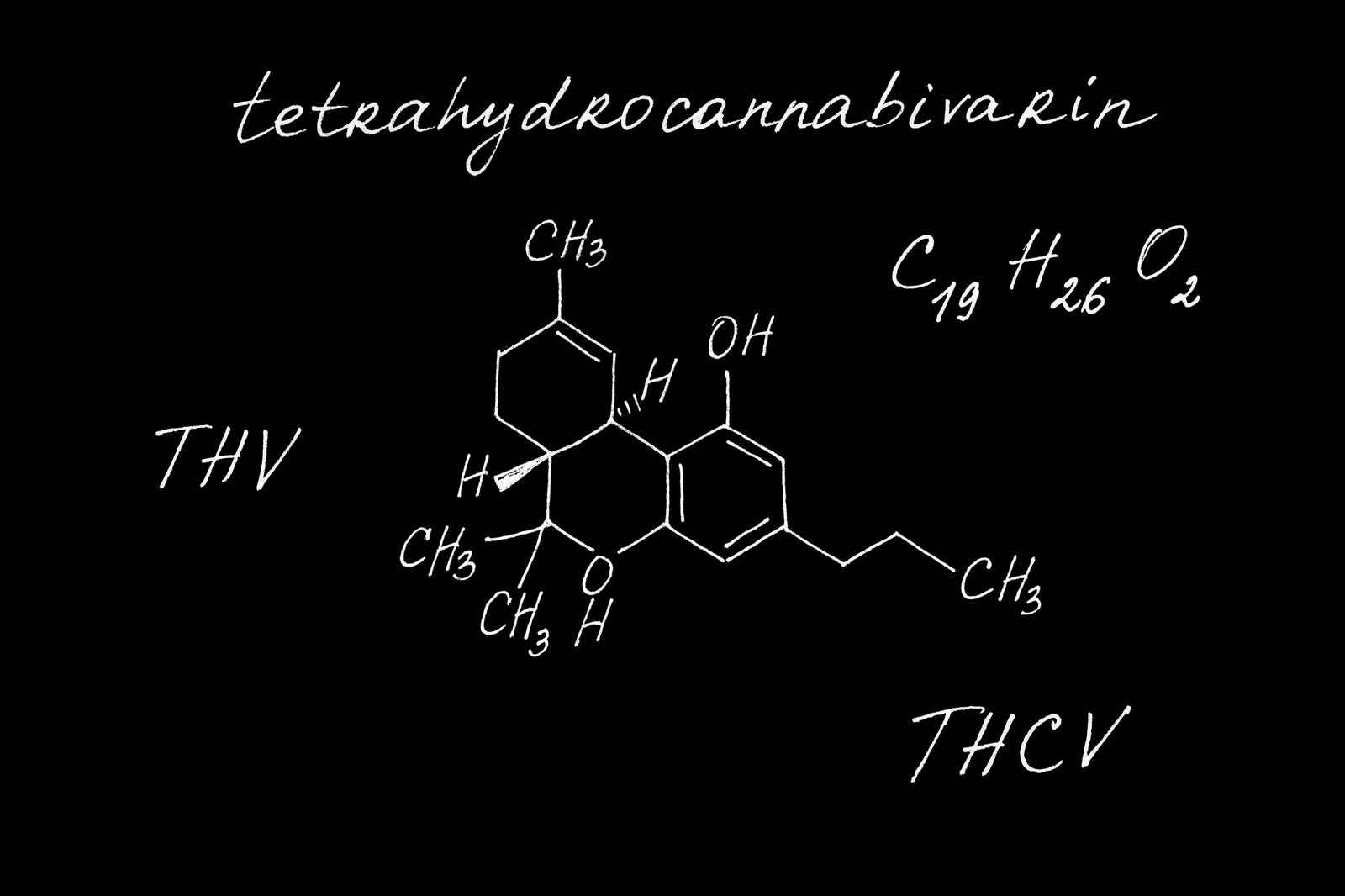 THCVA (Tetrahydrocannabivarin Acid) Guide - Secret Nature