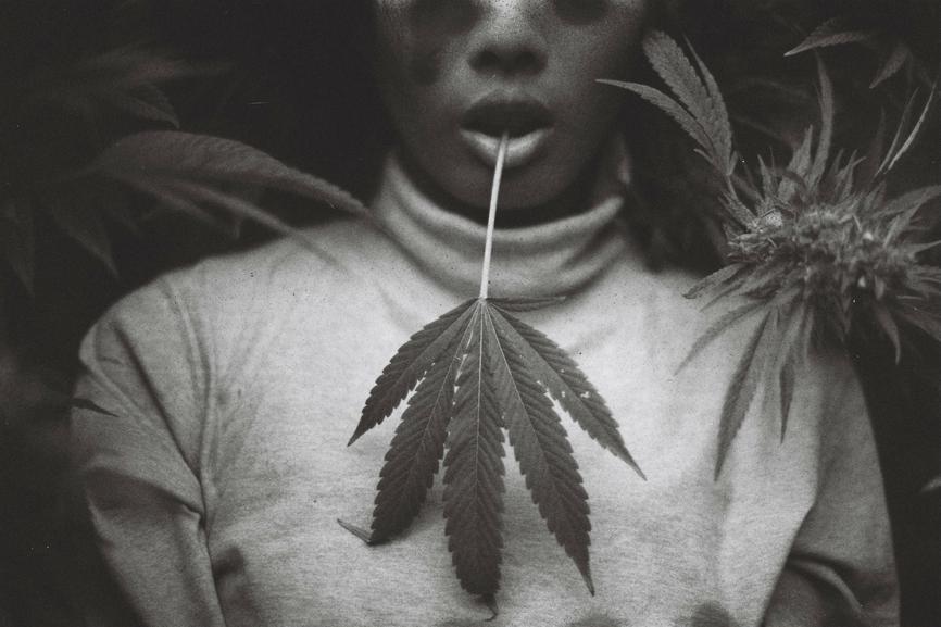 The History of Smokable Hemp - Secret Nature