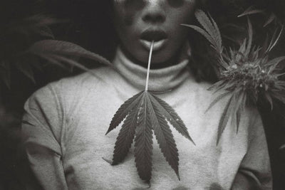 The History of Smokable Hemp