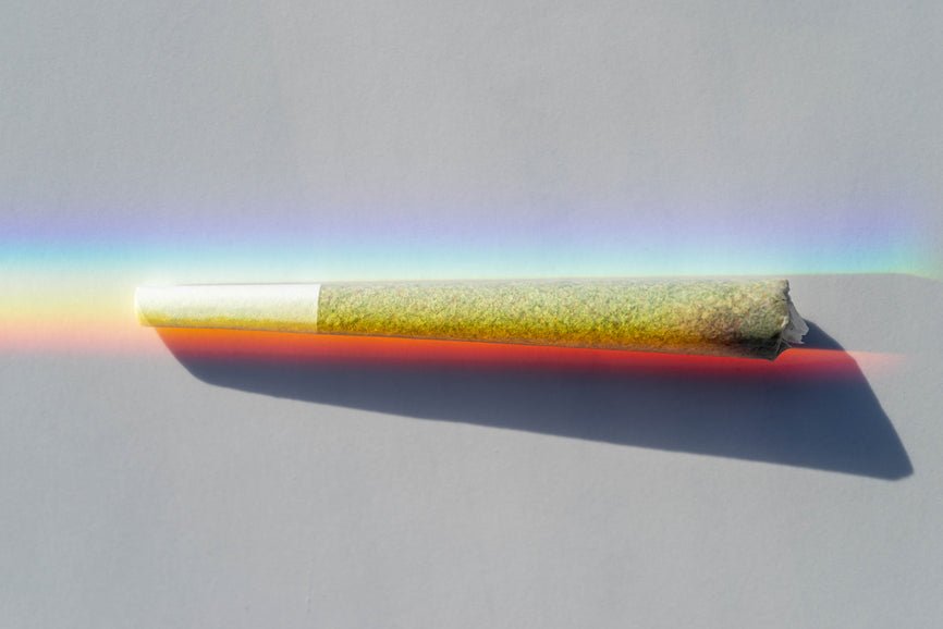 Thin Mintz Strain Review - Secret Nature