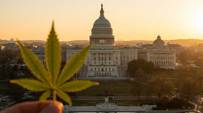 Federal Cannabis Rescheduling: The Complete Guide to What's Changing