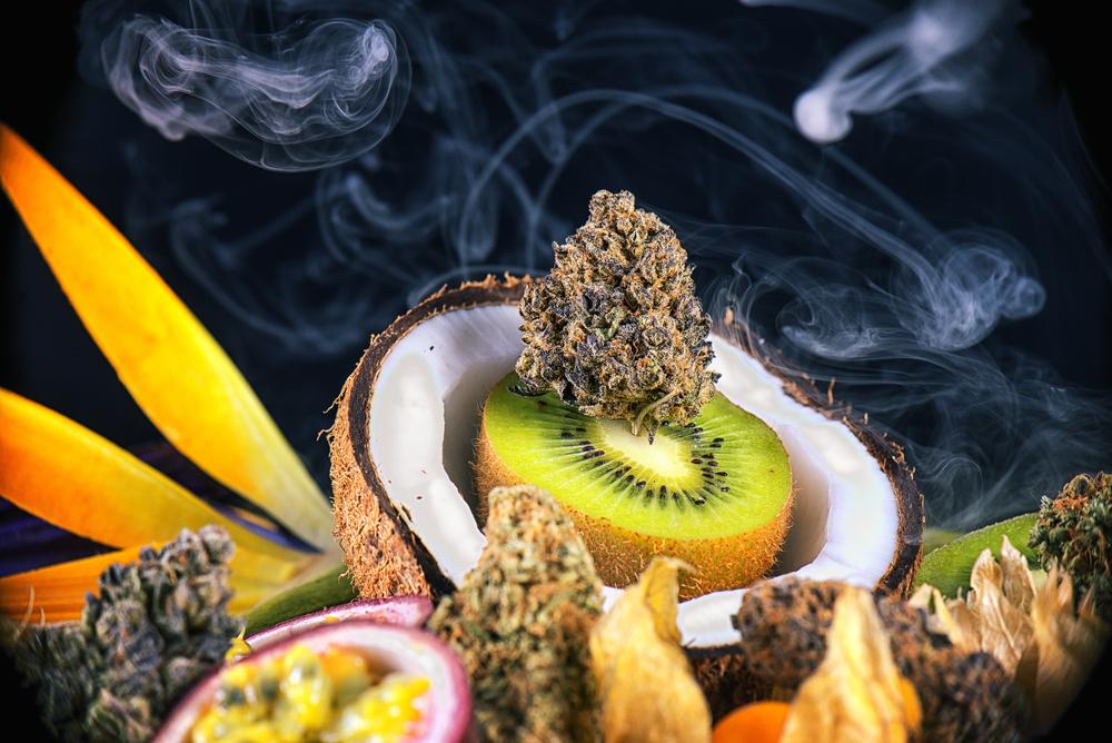 Top 13 CBD Oil Terpenes Explained—What Terpenes Are & What They Do - Secret Nature