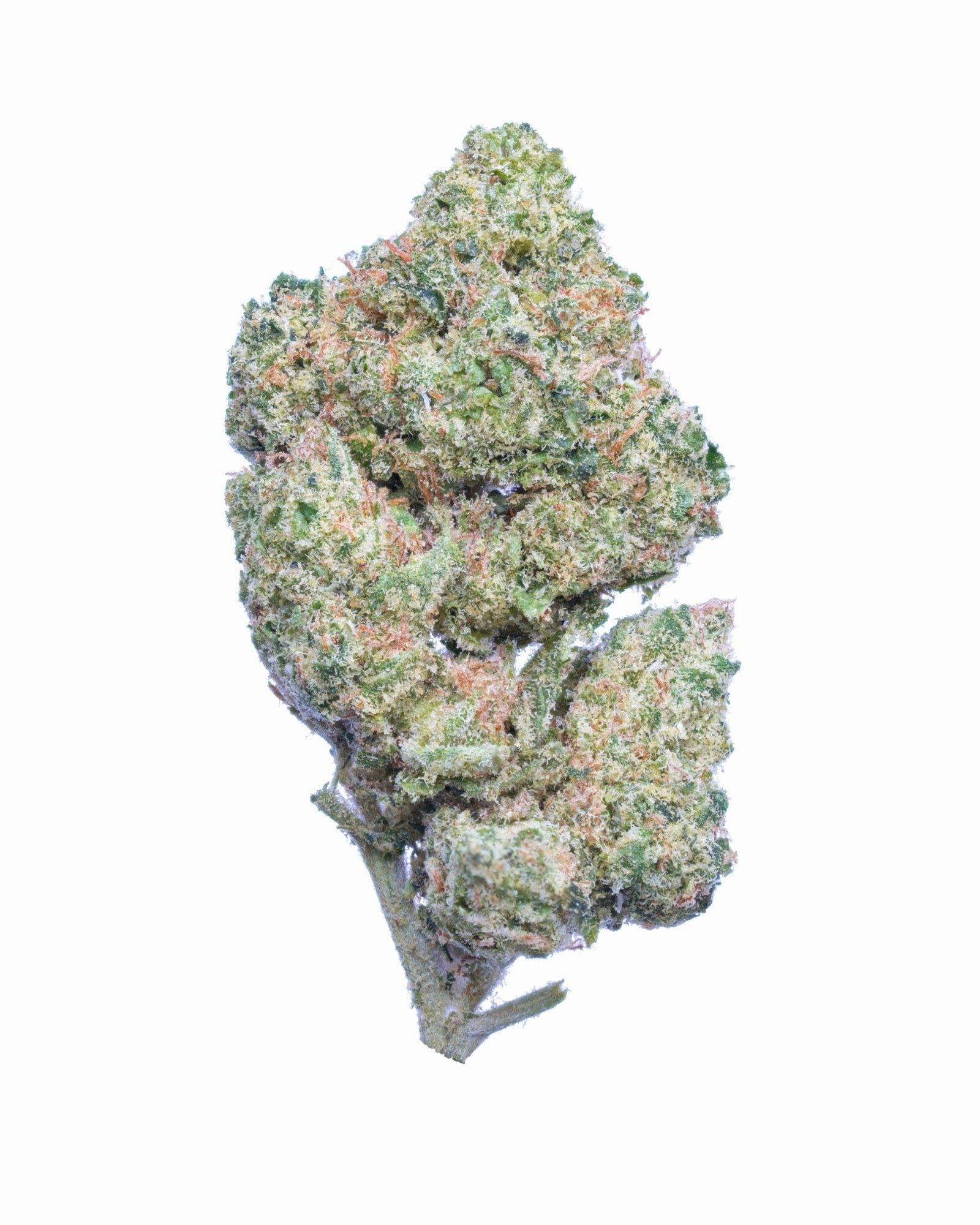 best thc vape for arousal Top 5 Terpenes in THCA Flower & Vapes – Secret Nature best thc vape for arousal Top 5 Terpenes in THCA Flower & Vapes – Secret Nature