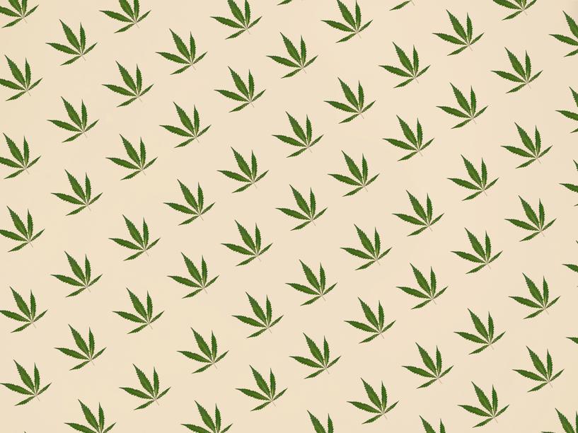 Using CBD as a THC User - Secret Nature