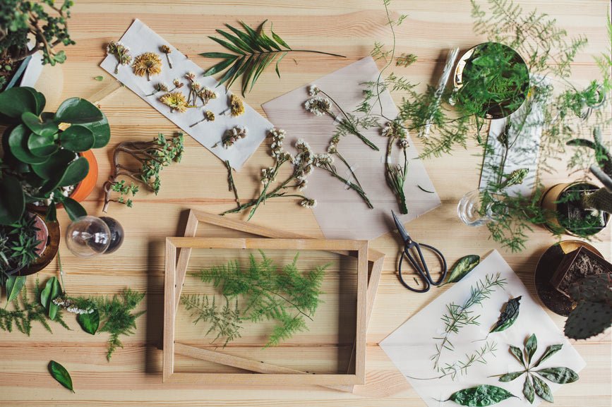 What Are Botanicals? - Secret Nature