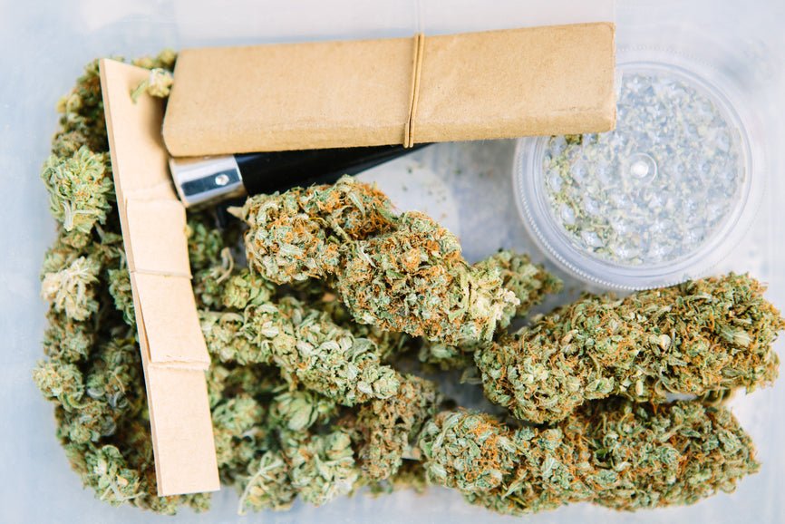 What Are the Benefits of Hemp Paper? - Secret Nature