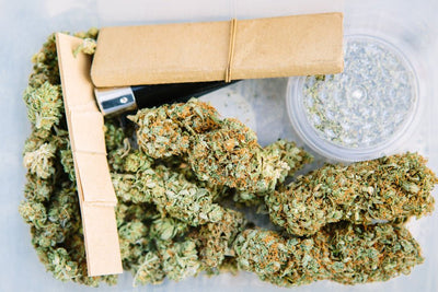 What Are the Benefits of Hemp Paper?