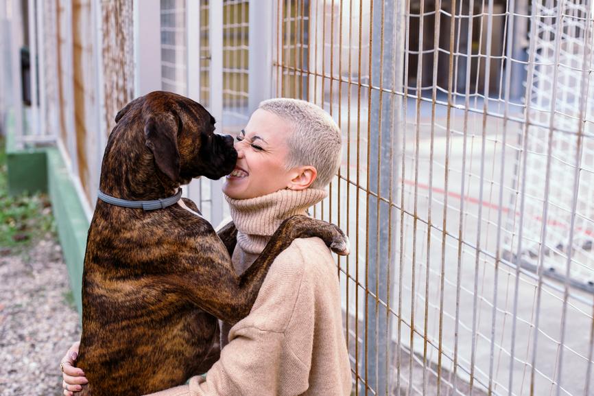 What Can I Give My Dog for Anxiety? - Secret Nature