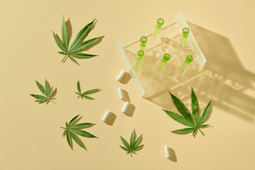 What Is Bioavailability in Cannabis? - Secret Nature