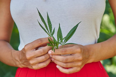What Is H4CBD?