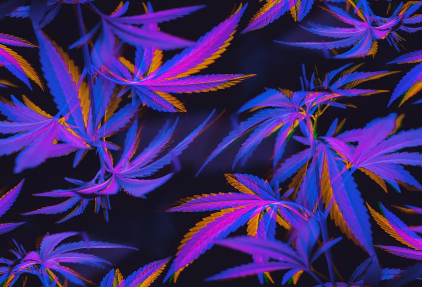 What Is Hemp Fiber? - Secret Nature