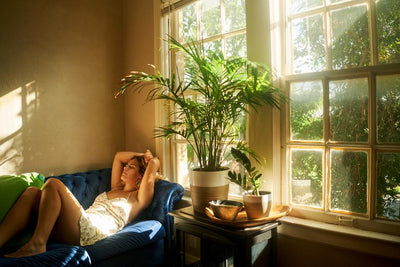 What Is the Best CBD Flower for Relaxation?