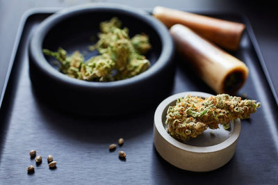 What Is the Best Way to Use THCA?