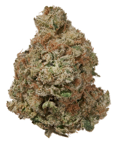 What’s the Best THCA Flower Size for Beginners?