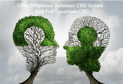 Full-Spectrum CBD vs. Isolate CBD