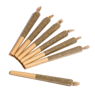 Which Is Better for Sex: Indica or Sativa THCA Flower?