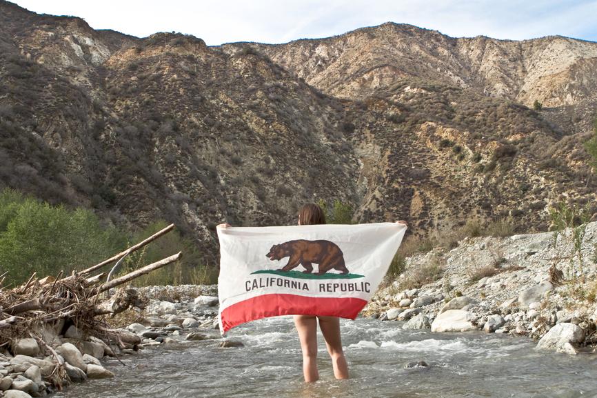 Wholesale Guide - CBD Flower in California - Secret Nature