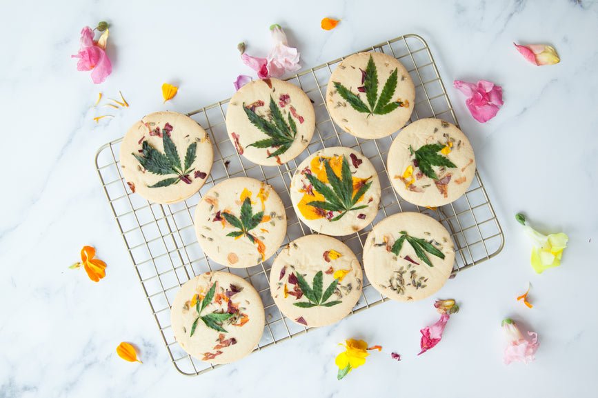 Why Don’t Edibles Get Me High? - Secret Nature