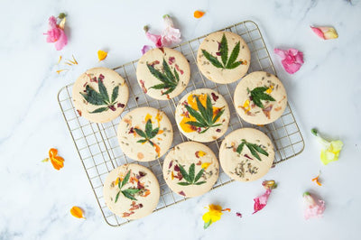 Why Don’t Edibles Get Me High?