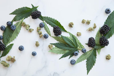 Why Secret Nature Cannabis-Derived Terpenes Provide the Best Effects on the Market