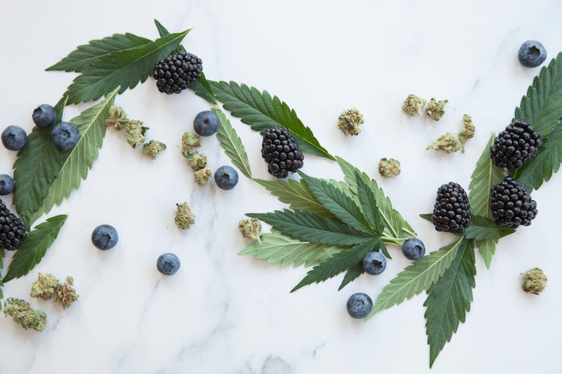 Why Secret Nature Cannabis-Derived Terpenes Provide the Best Effects on the Market