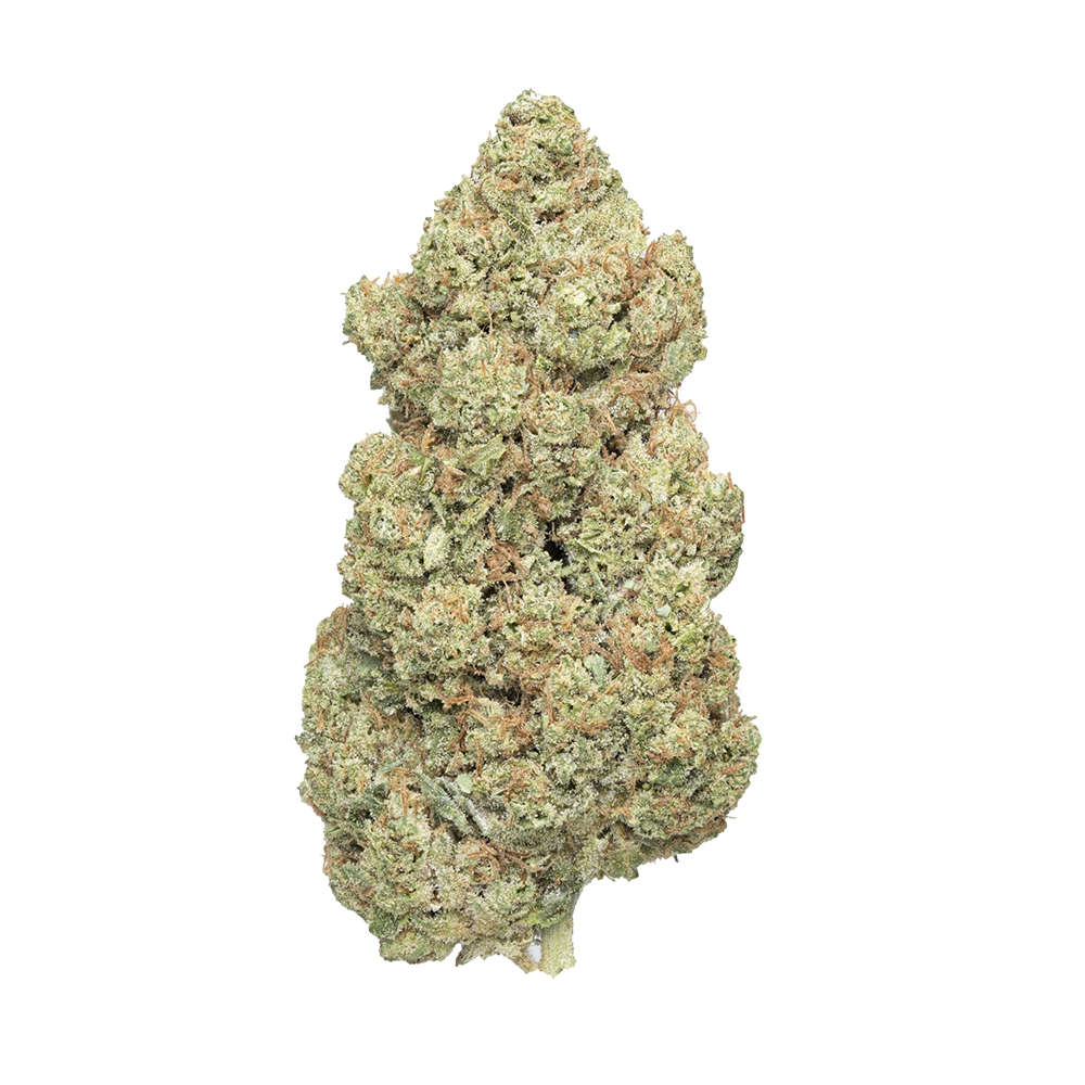 Bazooka THCA cannabis buds on transparent background