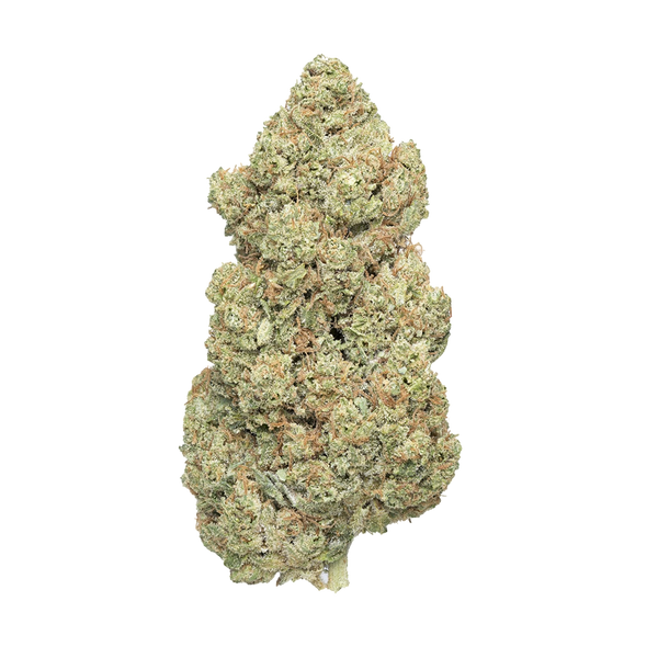 Bazooka_THCA-